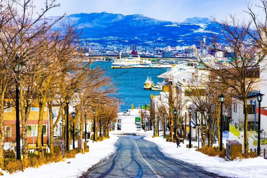 하코다테 필수 관광