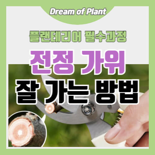 전정가위 잘 가는 방법 썸네일 이미지