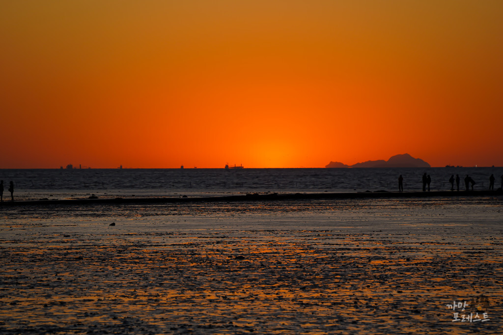안산 탄도항 주홍빛