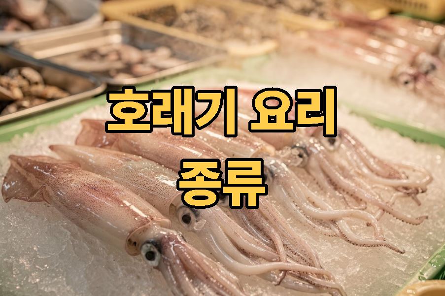 호래기 요리 ❘ 종류 활용법