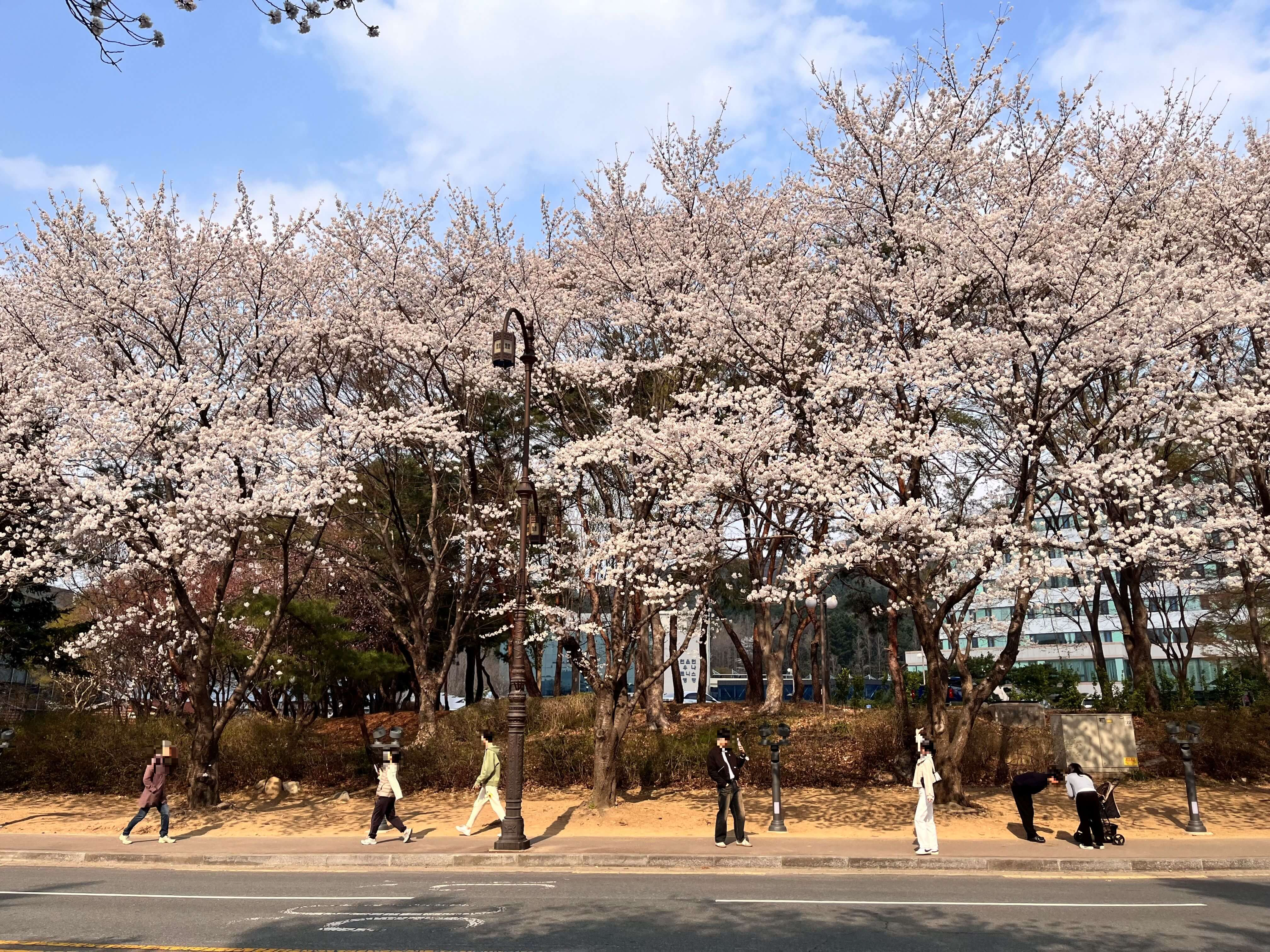 경주 황룡원