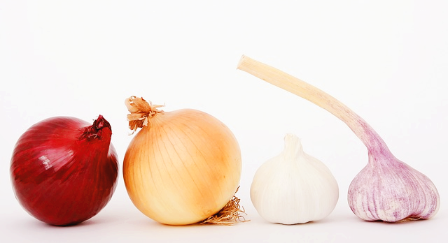 양파 보관법과 효능