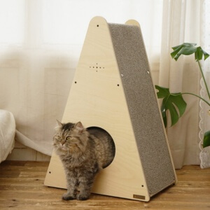 2023 반려인 능력시험