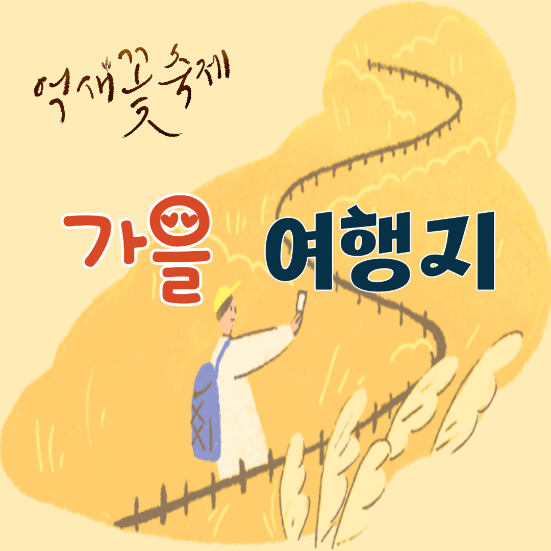 가을 여행지 제주도 은빛 물결 억새 추천 장소