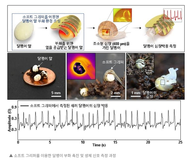 촉각 기반 로봇: 동물의 피부 감각을 모방하는 방법 &ndash; 압력 센서와 소프트 로봇 기술