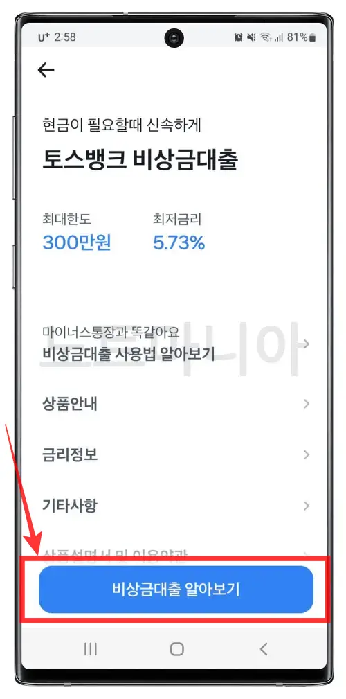 토스뱅크 비상금대출02