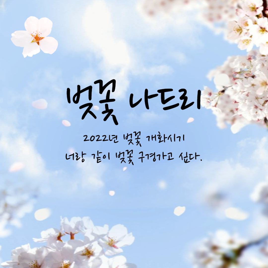 2022년 봄꽃 개화시기