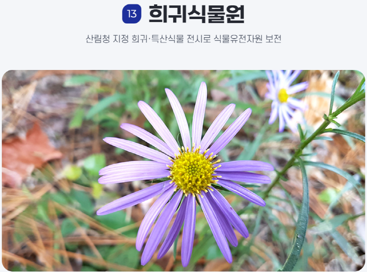 물맑음 수목원