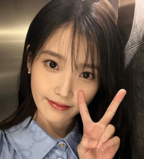 아이유 법적 대응