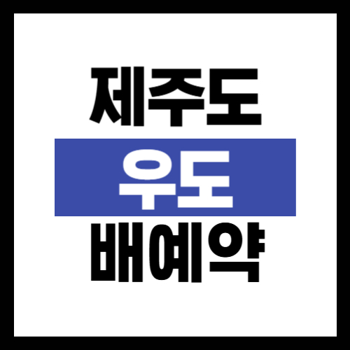 제주도 우도 배예약