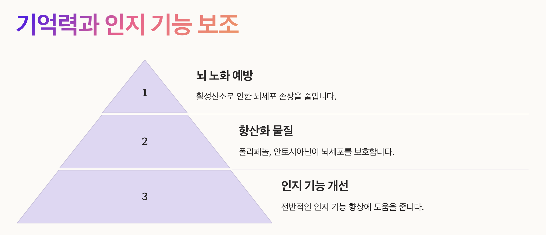 기억력_인지_기능보조