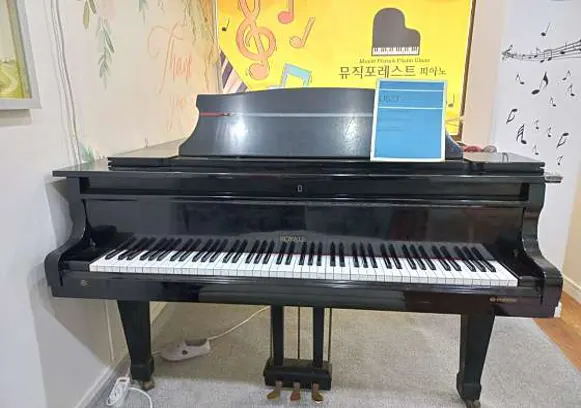 뮤직포레스트피아노교습소