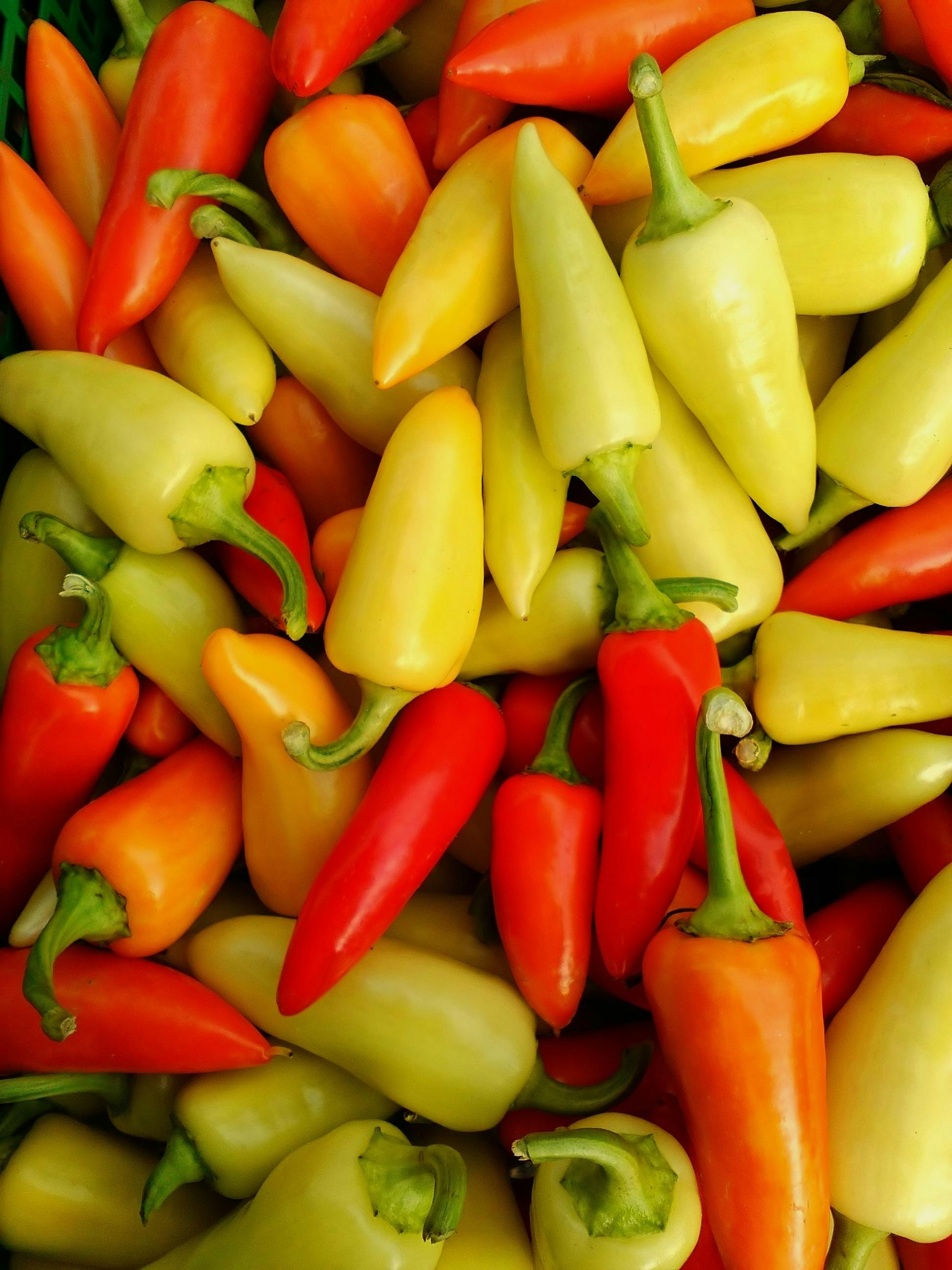 식물성에스트로겐식품