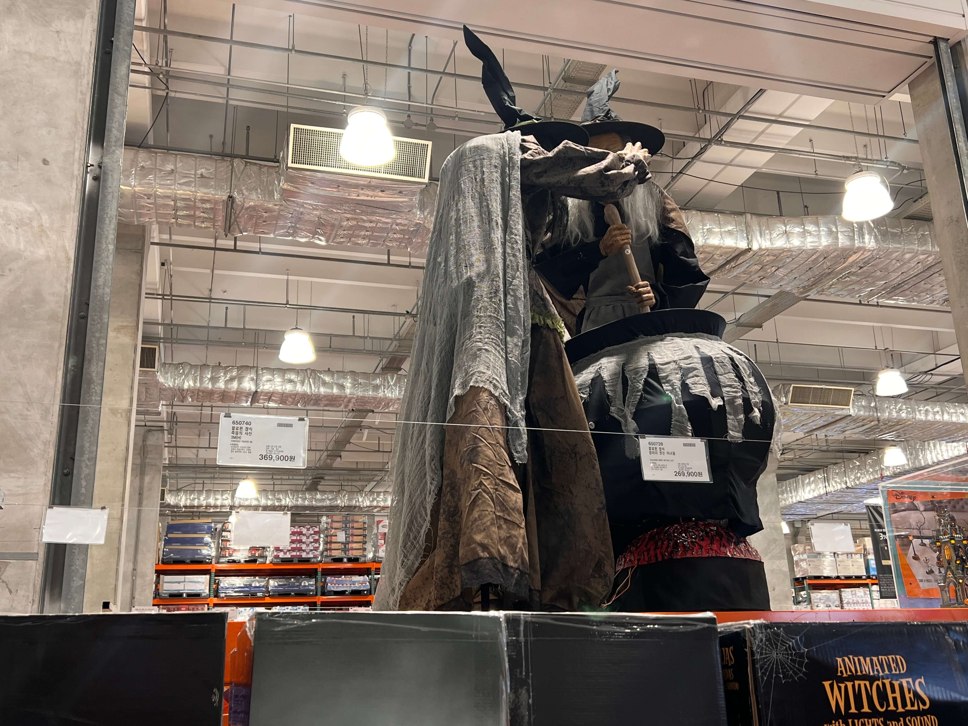 할로윈 장식 항아리 젓는 마녀들