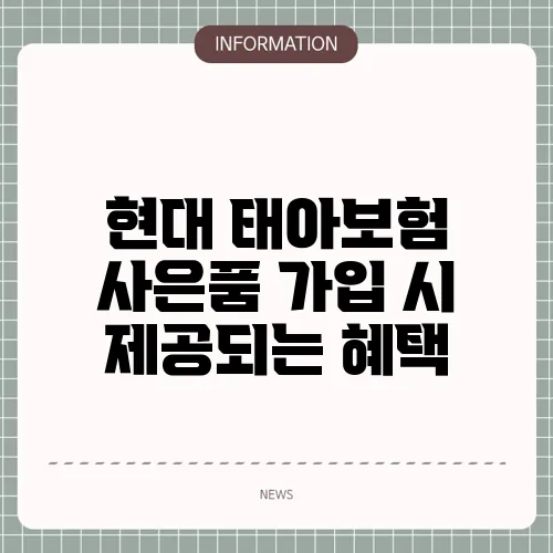 현대 태아보험 사은품 가입 시 제공되는 혜택