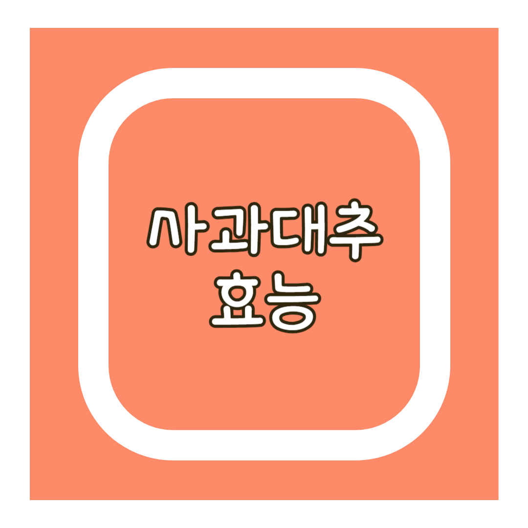 사과대추 효능
