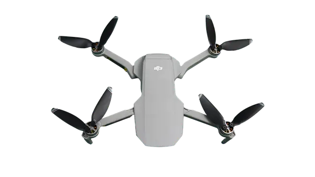 50대 재취업 드론 자격증과 바리스타 자격증