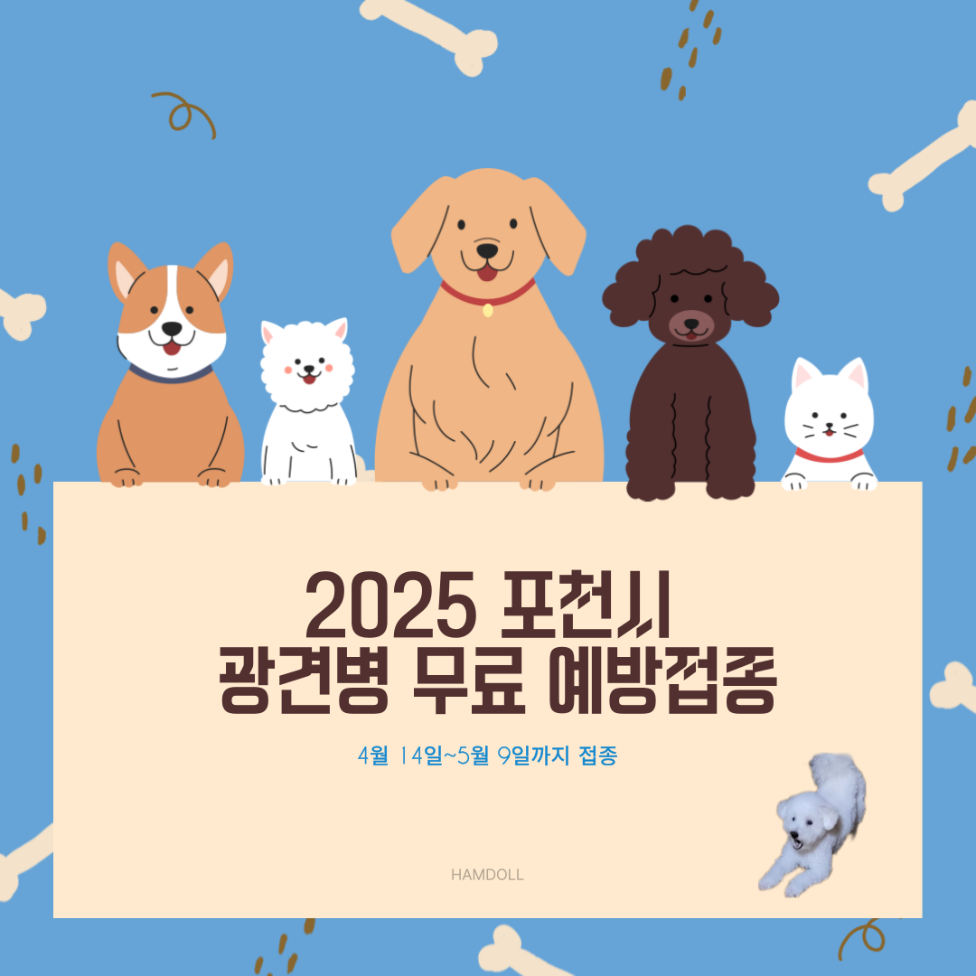 2025 포천시 무료 광견병 예방접종 안내