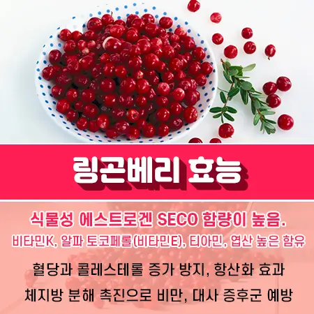링곤베리 효능
