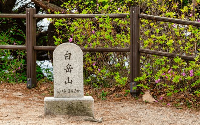 청와대 개방 예약 방법 관련사진
