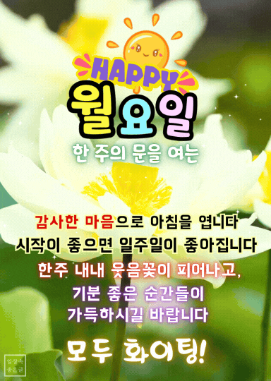 월요일 아침 좋은글 이미지, 한주 시작 응원 문구, 여름 연꽃 이미지
