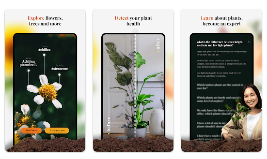 식물이름 찾기 어플, 꽃이름 찾기, 식물 찾기