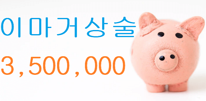 수술 비용