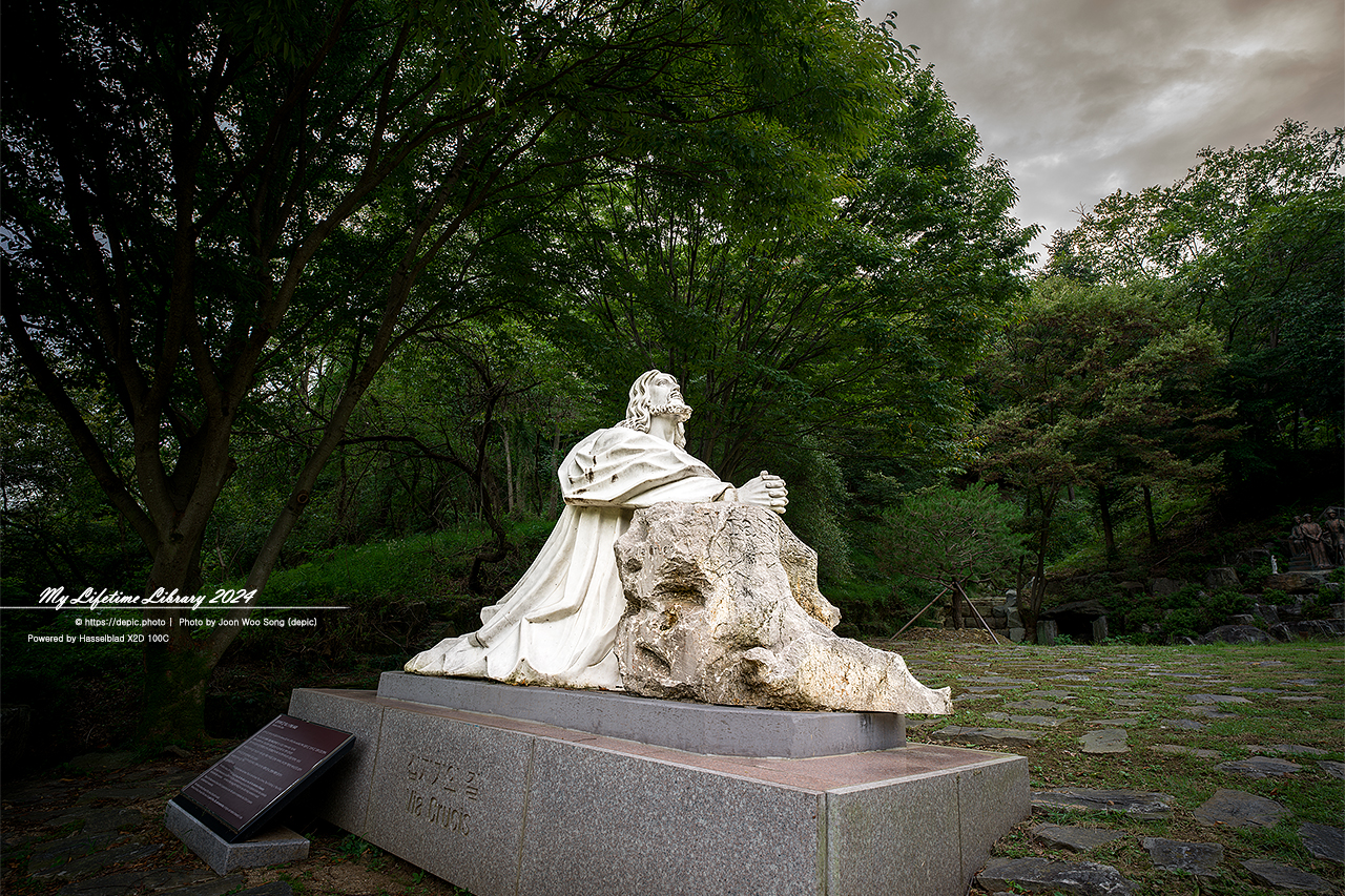 안성 미리내 미리내성지 성당 가톨릭 성지 김대건