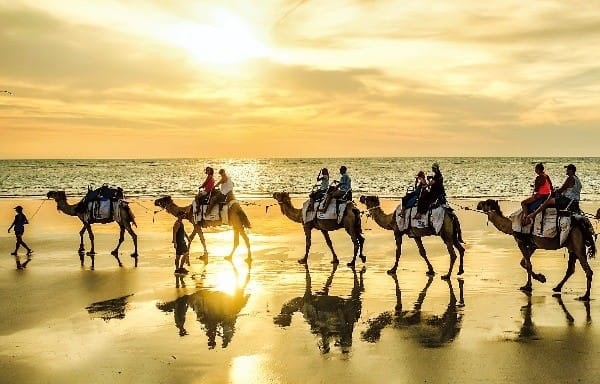 낙타와 거리를 걷는 모습 사진