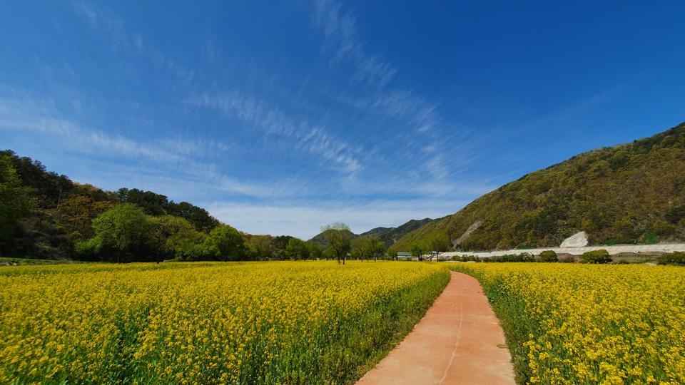 옥천금강수변 친수공원