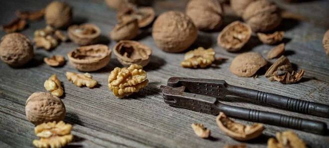 호두 한 알 칼로리와 하루 권장 섭취량