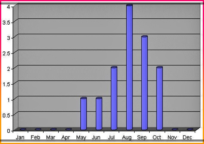 홍콩-마카오-태풍주기