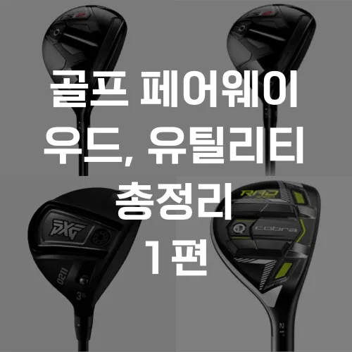 페어웨이우드 탄도 조절 어드레스 볼포지션 헤드스피드 요령_1