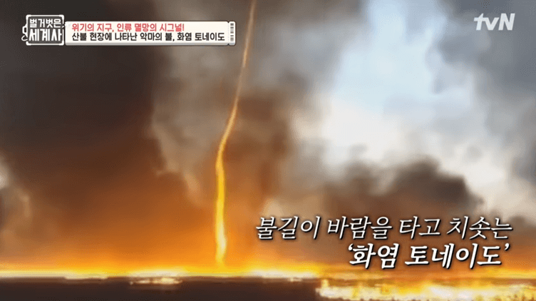 지구온난화_호주산불