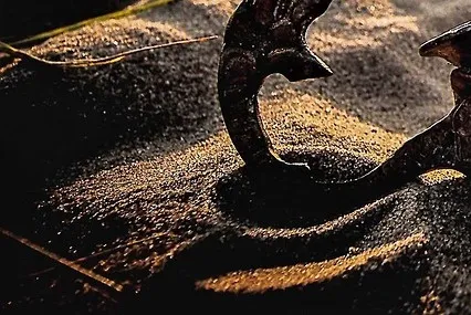 알라딘 뮤지컬 부산