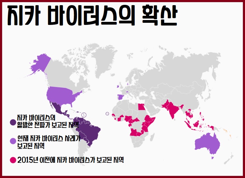 지카바이러스 전파경로