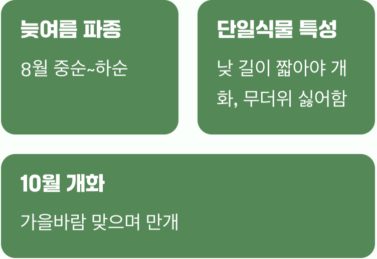 언제 심어야 가장 좋을까?