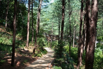 양평 자연휴양림 관련