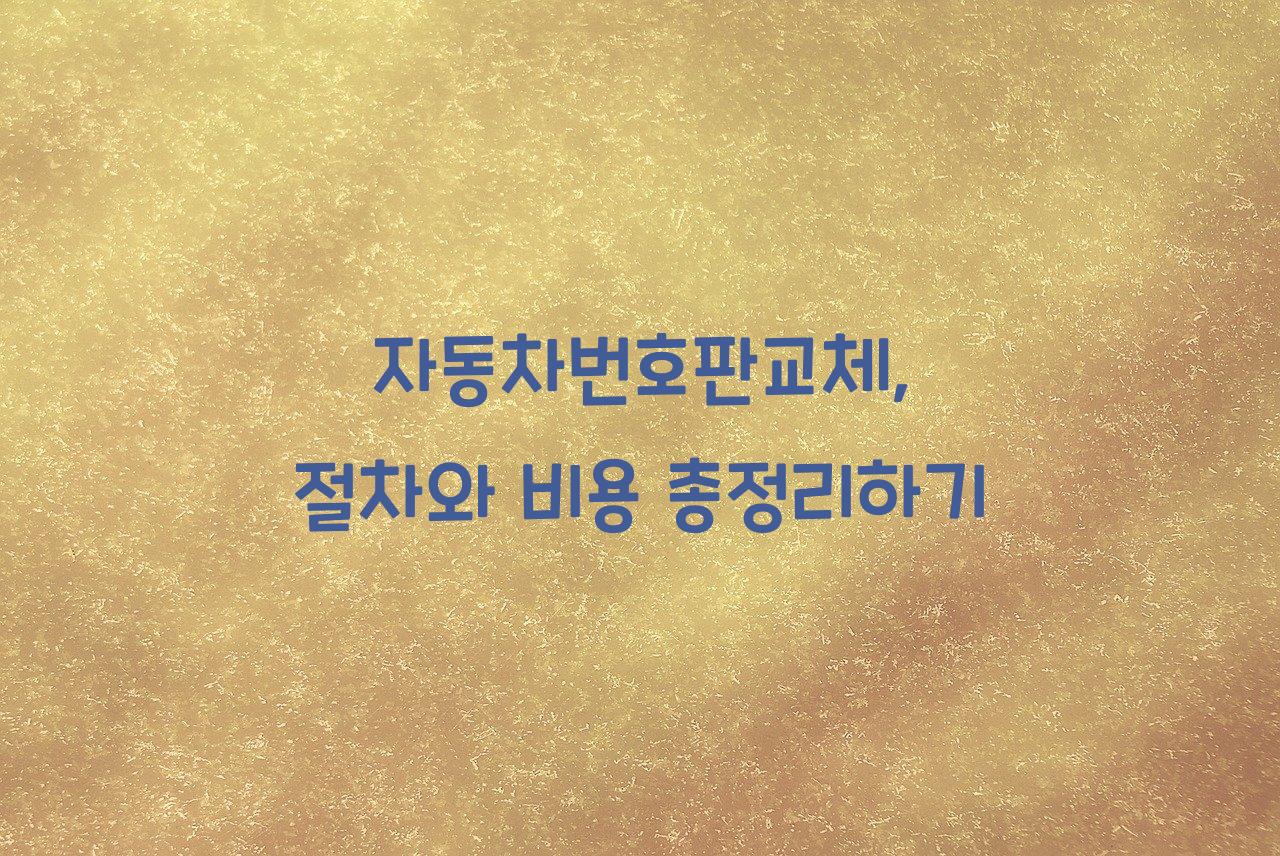 자동차번호판교체