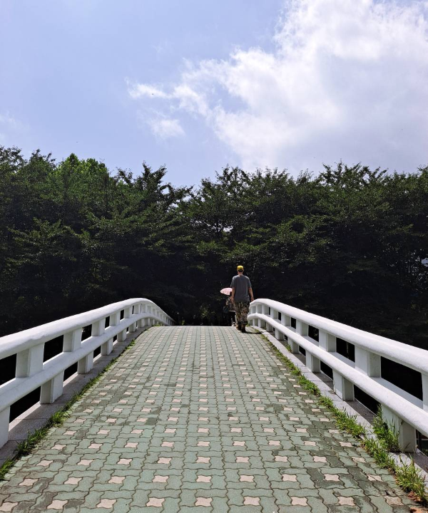 여의1교 진입하는 길