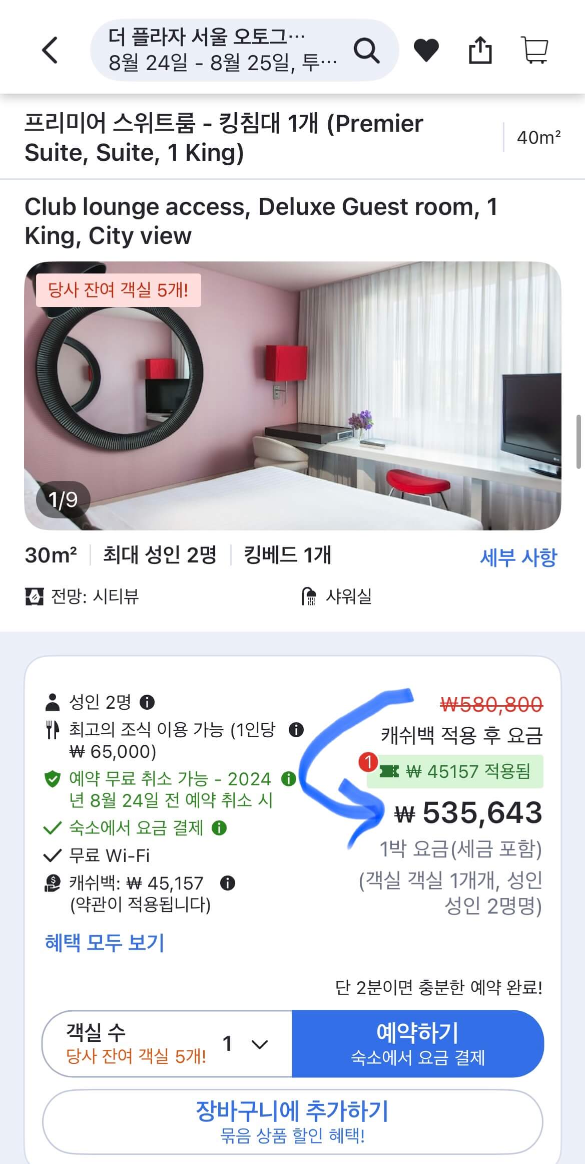 더플라자호텔 예약