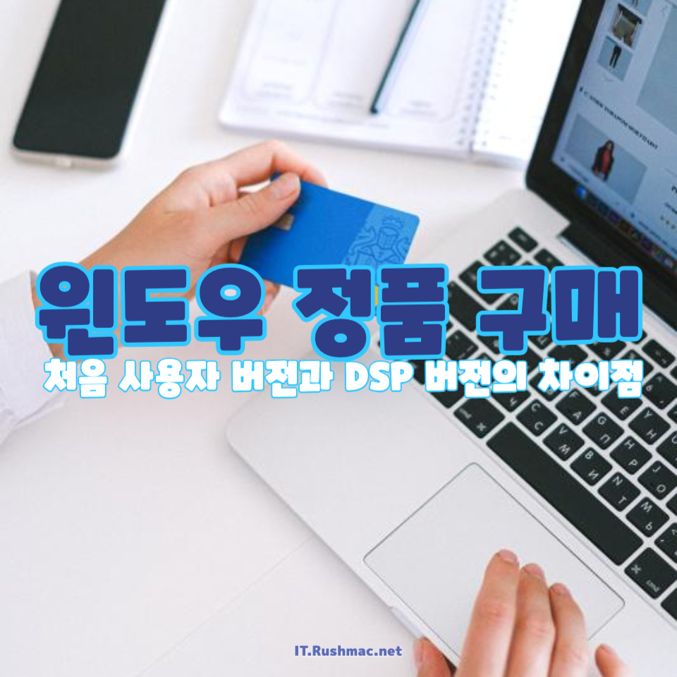 윈도우 처음 사용자 버전과 DSP 버전