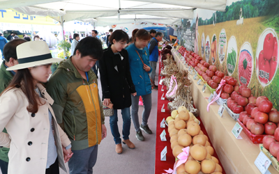 2025 금당야행] 예천 금당실마을에서 밤을 걷다! 체험&middot;먹거리&middot;축제 총정리