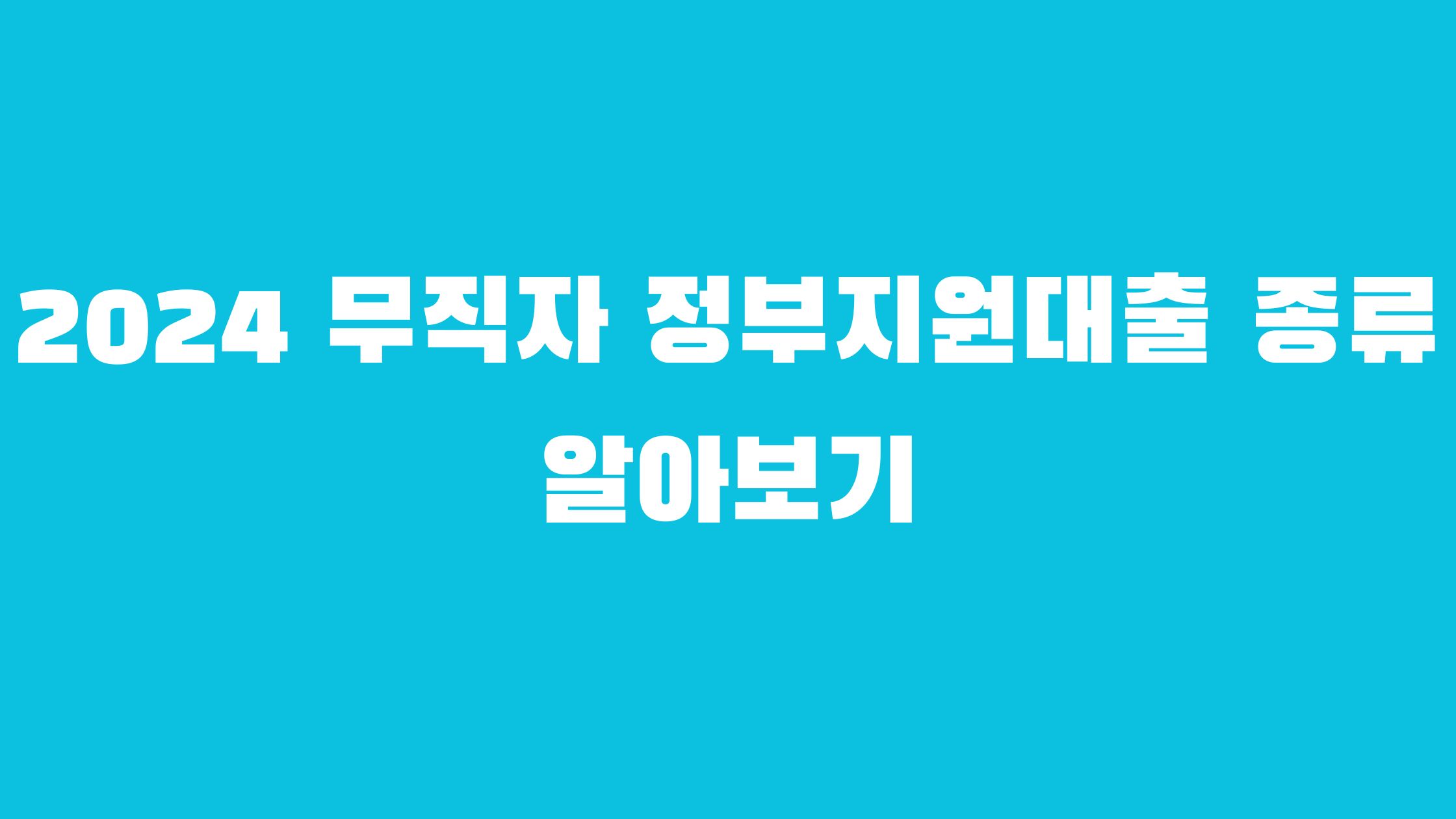 2024 무직자 정부 지원 대출 종류
