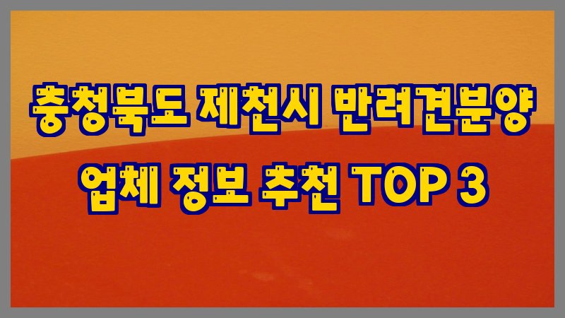 충청북도 제천시 반려견분양