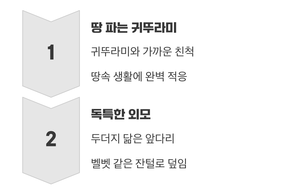 두더지? 가재? 곤충계의 포크레인