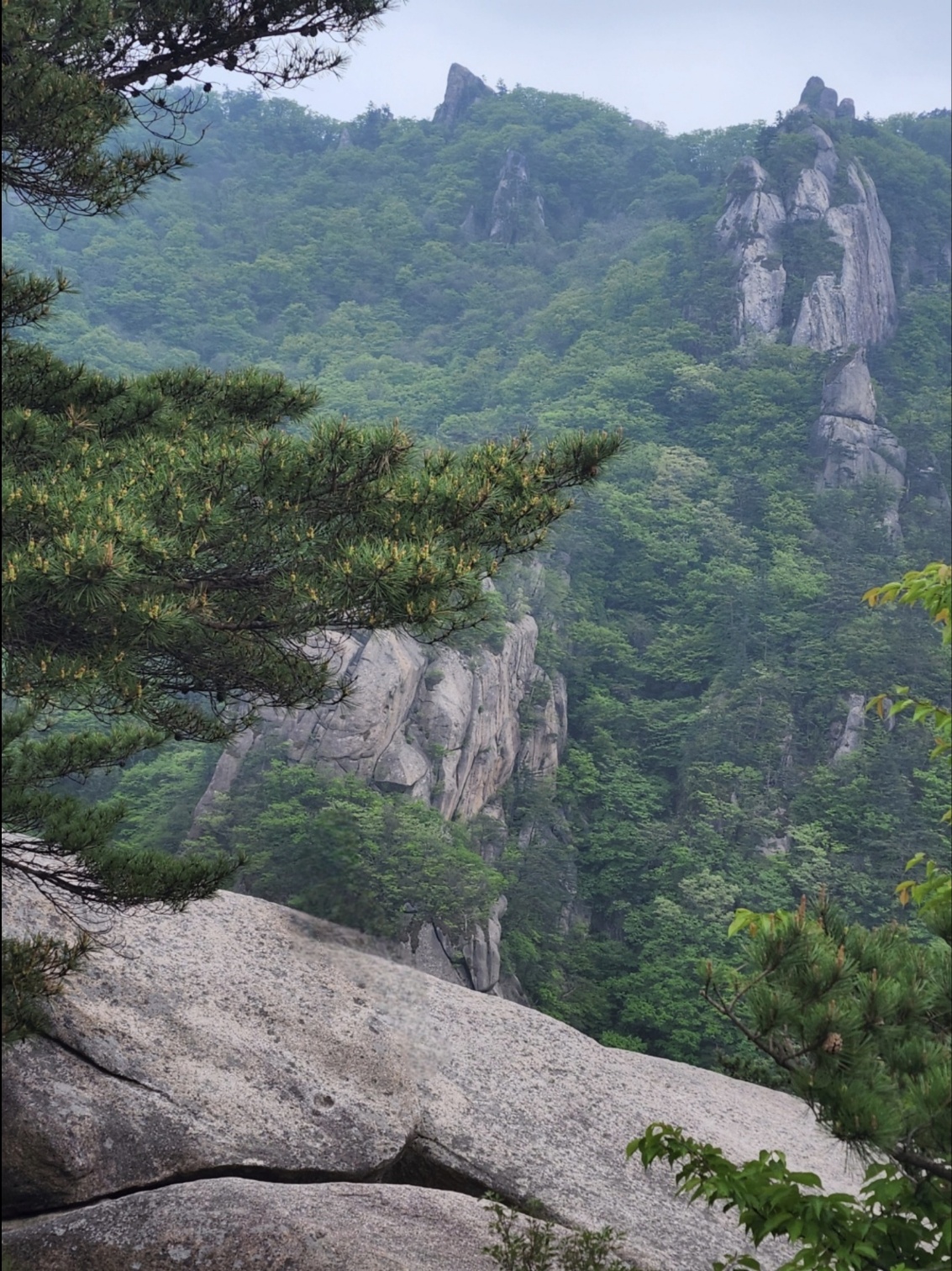 속리산 관련 사진