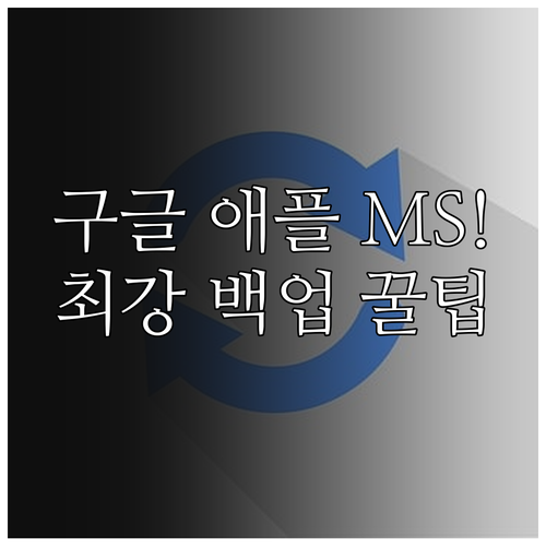 구글 애플 MS 클라우드 사진 백업 ..