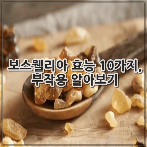 보스웰리아 효능 10가지, 부작용 알아보기