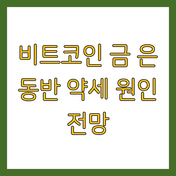 비트코인 금 은 동반 약세 원인 전망